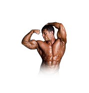 bodybuilder